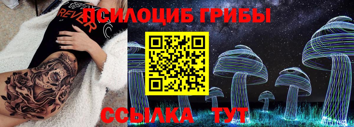 как найти   Вход с VPN  Галлюциногенные грибы мухоморы  Магнитогорск  Галлюциногенные грибы Psilocybine cubensis 